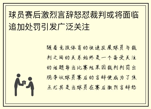 球员赛后激烈言辞怒怼裁判或将面临追加处罚引发广泛关注 球员赛后激烈言辞怒怼裁判或将面临追加处罚引发广泛关注